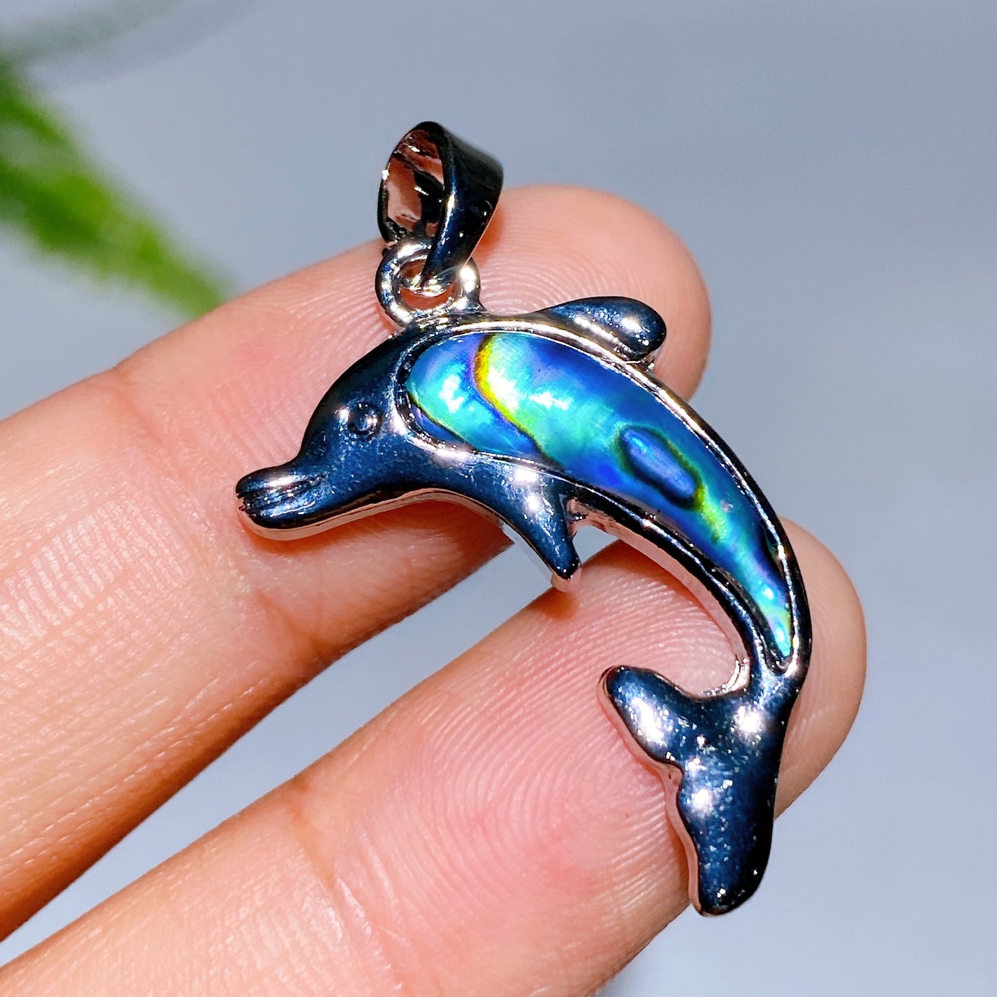 Abalone Shell Pendant Crystal Healing Bulk Wholesale