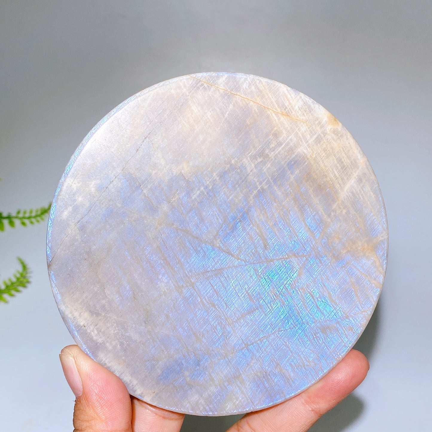 4.6"-5.0" Natural Table with Metal Holder Crystal Healing Bulk Wholesale