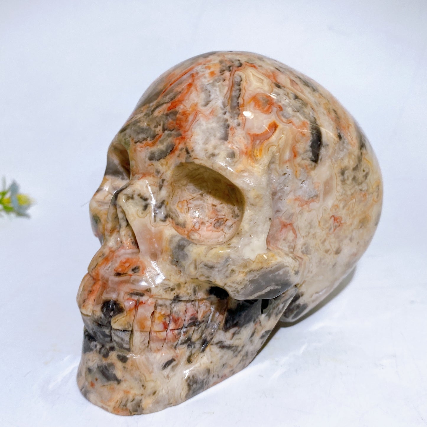 Unique Hand Carved Natural Crystal Skull Crystal Healing Bulk Wholesale