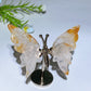 Crystal Butterfly with Fixed Metal Stand Crystal Healing Bulk Wholesale