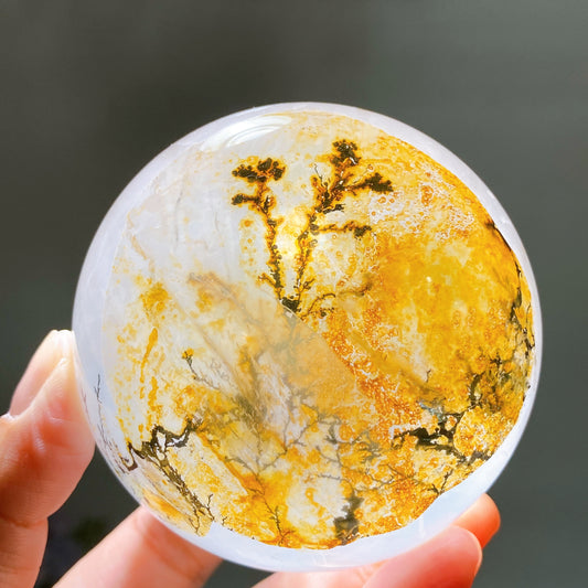 78mm Unique Denrite in Clear Quartz Sphere Crystal Healing Bulk Wholesale