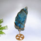 Natural Labradorite Feather Carving with Stand Crystal Healing Bulk Wholesale