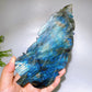Natural Labradorite Feather Carving with Stand Crystal Healing Bulk Wholesale