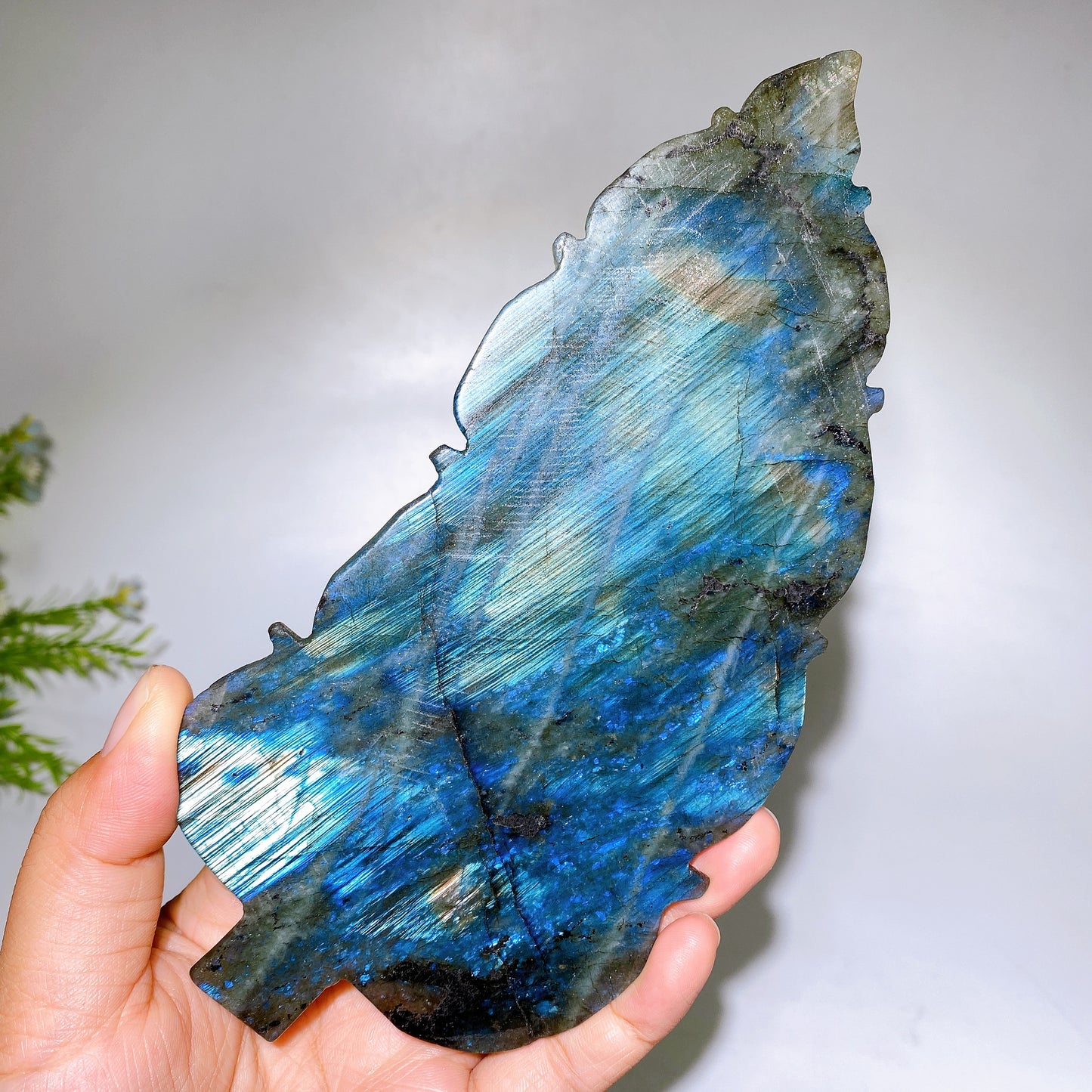 Natural Labradorite Feather Carving with Stand Crystal Healing Bulk Wholesale