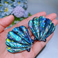 2.0" Abalone Shell Brooch Pendant Shell Shape Crystal Healing Bulk Wholesale