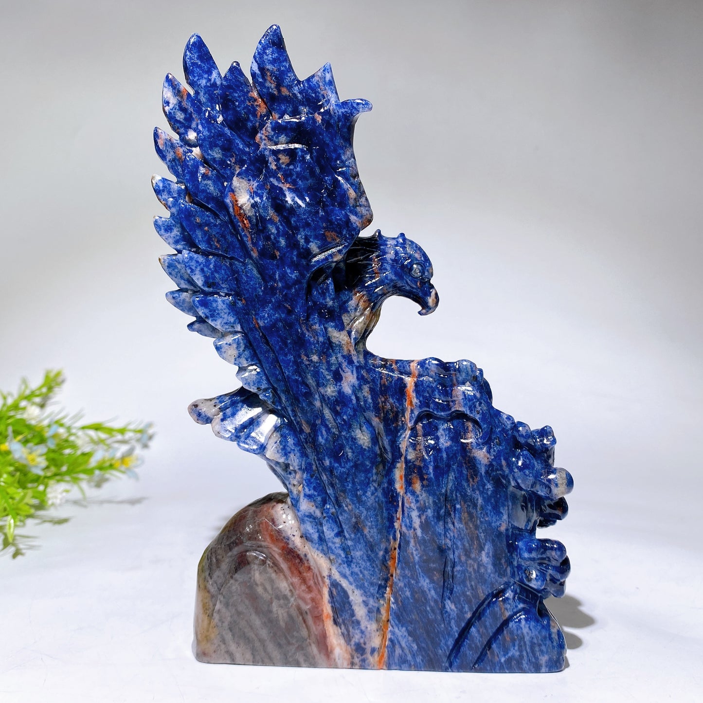 20cm Hand Carved Natural Sodalite Eagle Crystal Healing Bulk Wholesale