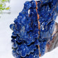 20cm Hand Carved Natural Sodalite Eagle Crystal Healing Bulk Wholesale