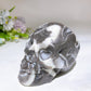 3.7"-3.9" Garnet Shell Stone Skull Carving Crystal Healing Bulk Wholesale