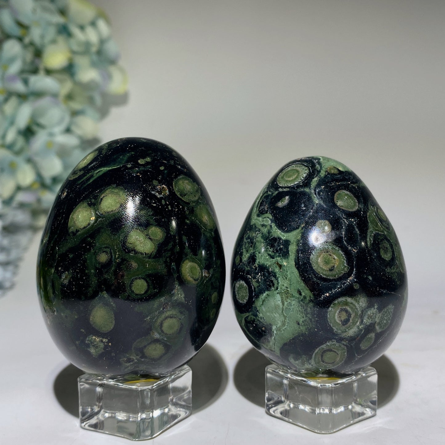 2.5"-2.7" Kambaba Egg Carvings Bulk Wholesale