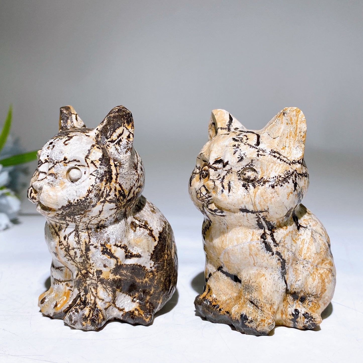 Picture Jasper Cat Carving Crystal Healing Bulk Wholesale
