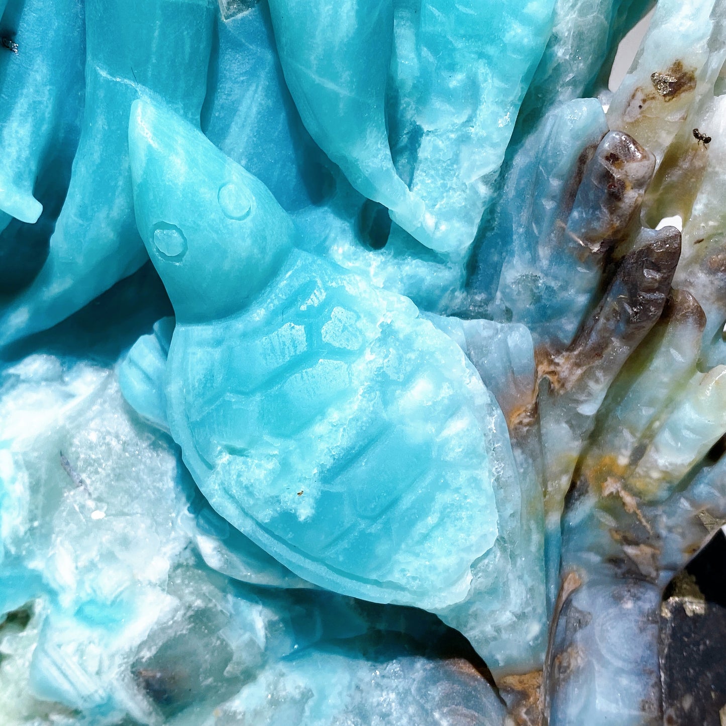 20cm Hand Carved Caribbean Calcite Ocean World Octopus Dolphin Turtle Free Form Crystal Healing Bulk Wholesale
