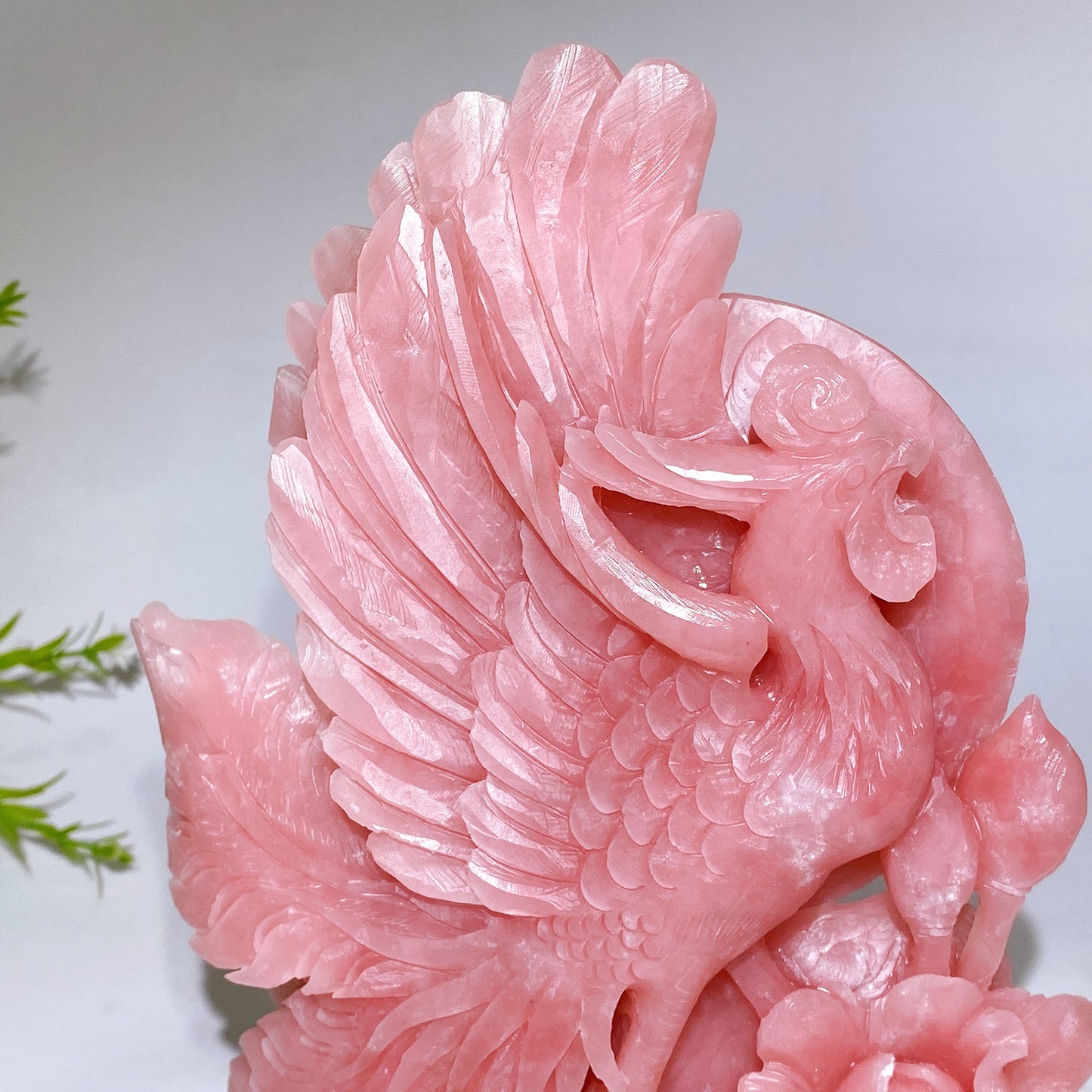 22.5cm Hand Carved Natural Pink Opal Phoenix & Penony Free Form Crystal Healing Bulk Wholesale