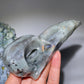 5.7" Labradorite Raven Skull Carvings Bulk Wholesale