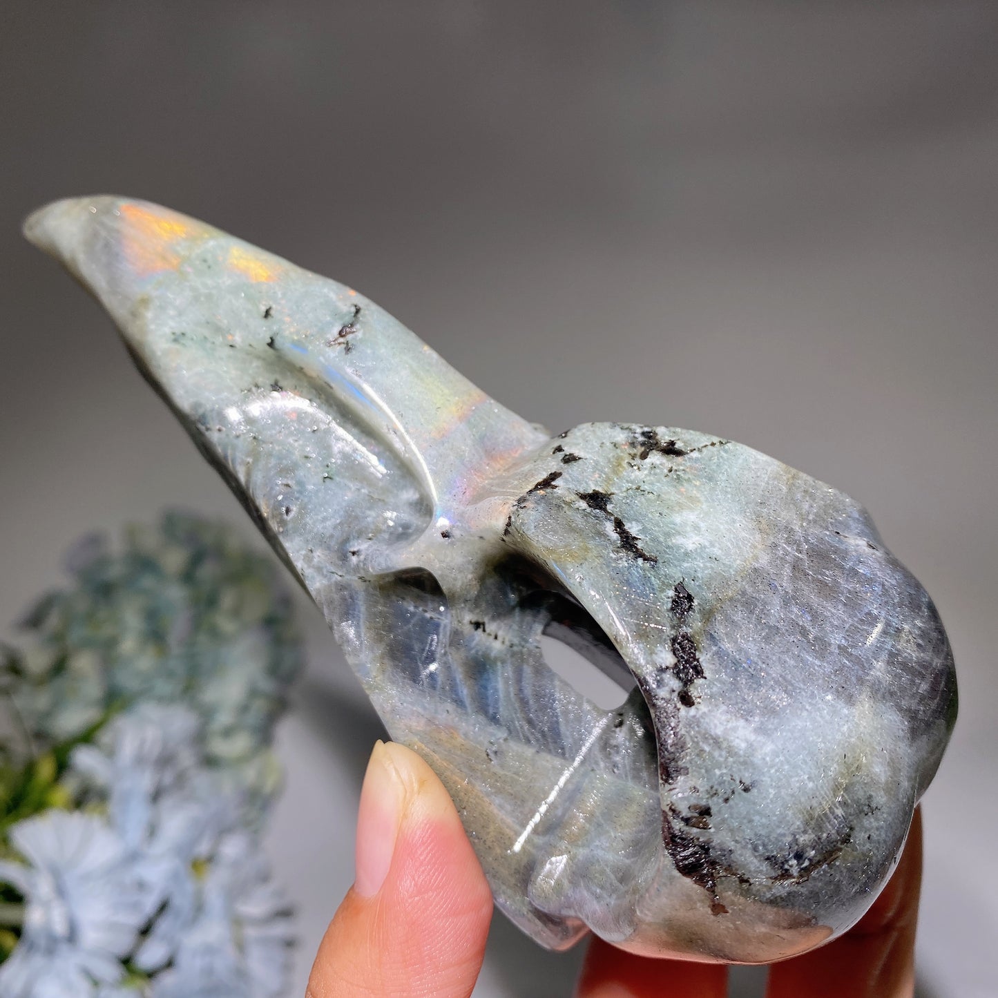 5.7" Labradorite Raven Skull Carvings Bulk Wholesale