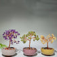 10-12cm Mixed Crystal Chips Treasure Tree with Random Ceramic Pot Crystal Healing Bulk Wholesale