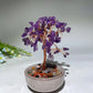 10-12cm Mixed Crystal Chips Treasure Tree with Random Ceramic Pot Bulk Wholesale