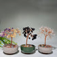 10-12cm Mixed Crystal Chips Treasure Tree with Random Ceramic Pot Bulk Wholesale