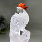 Unique Clear Quartz with Carnelian Rooster Carving with Wooden Stand Crystal Healing Bulk Wholesale