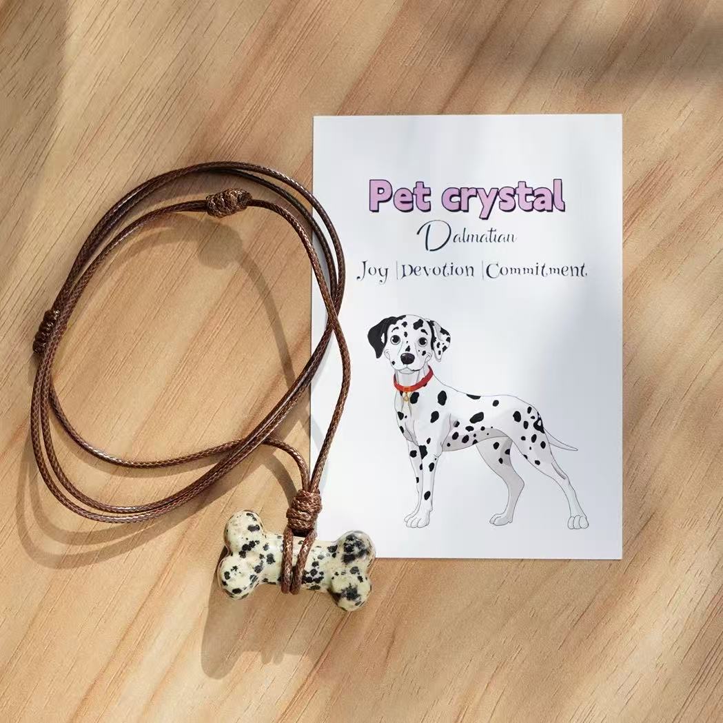 Natural Crystal Bone Necklace Pet Collar Gift Box – Wear the Bond with Your Furry Friend