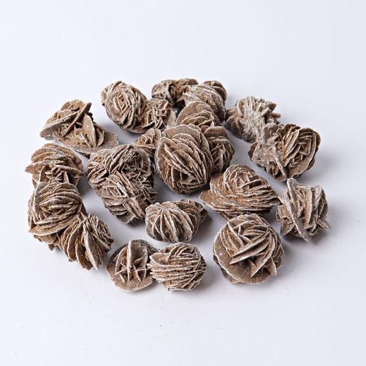 0.3kg Desert Flower Raw Stone