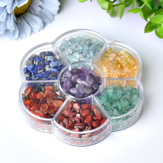 4" Chakra Chips Plate Free Form