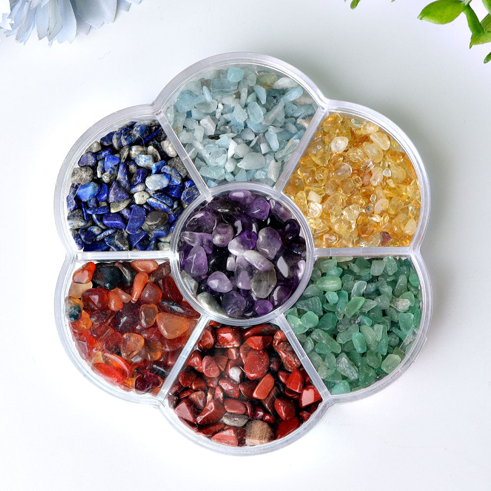 4" Chakra Chips Plate Free Form