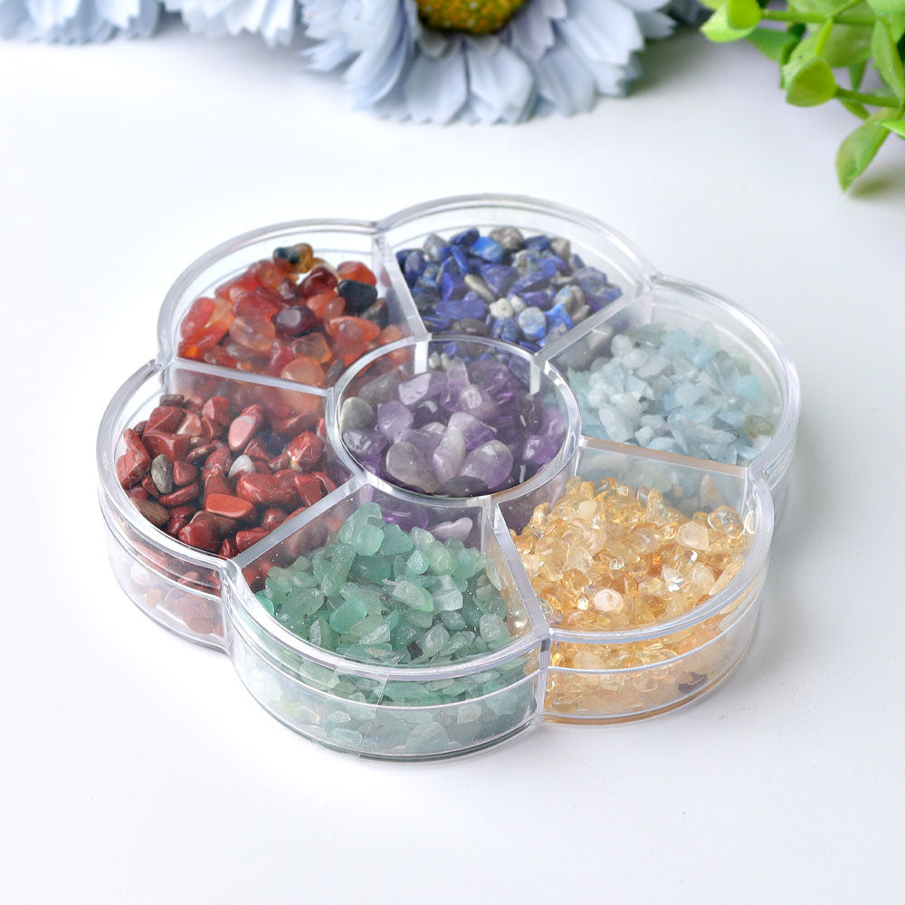 4" Chakra Chips Plate Free Form