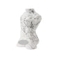Howlite Crystal Carving Model Figurine