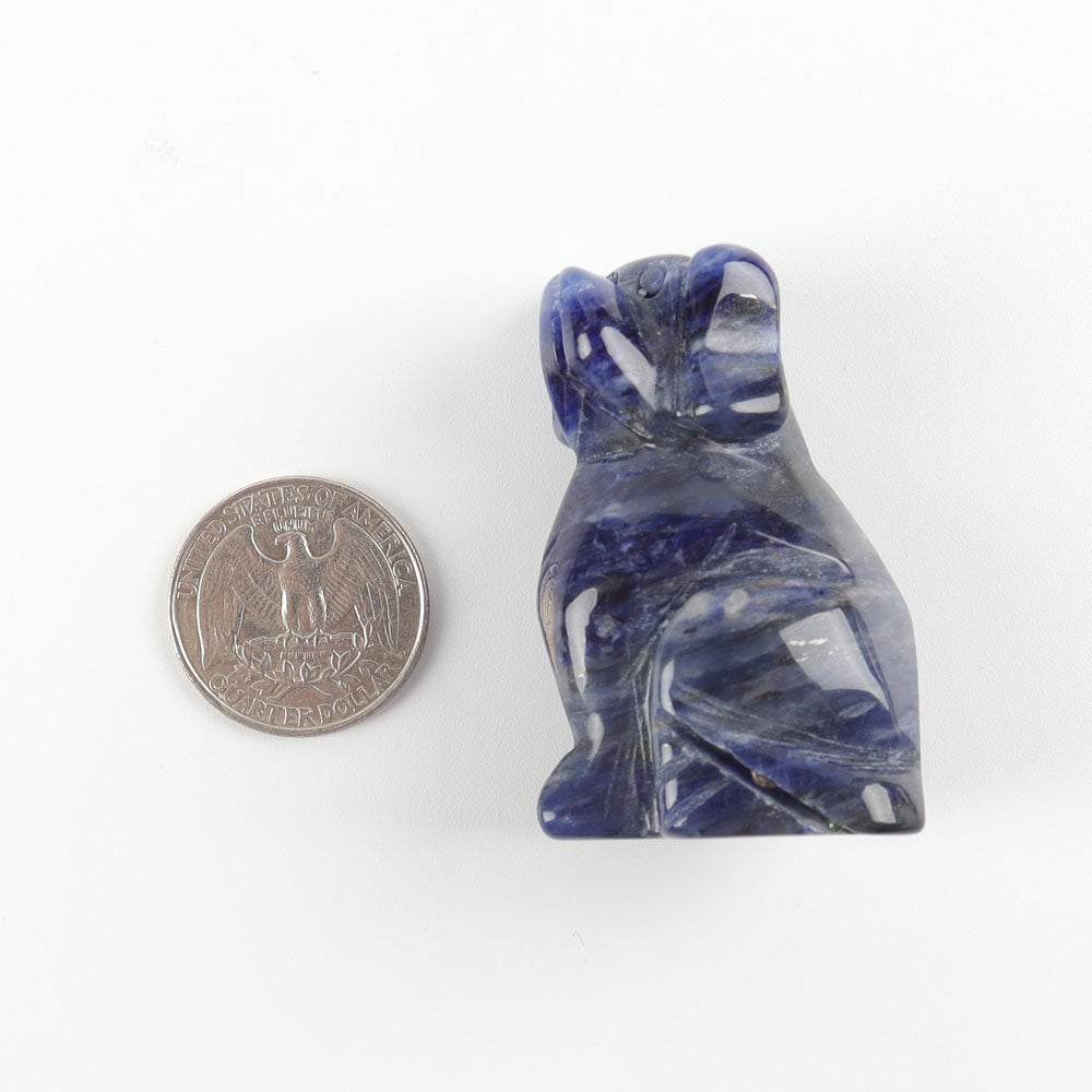 2" Sodalite Dog Figurine Crystal Carvings
