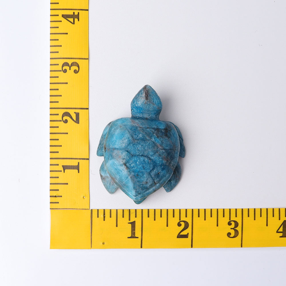 2.3" Blue Apatite Sea Turtle Crystal Carvings