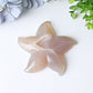 3.0"-3.5" Druzy Agate Starfish Crystal Carvings