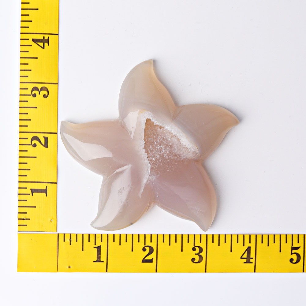 3.0"-3.5" Druzy Agate Starfish Crystal Carvings