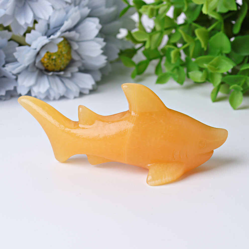 4" Honey Calcite Shark Crystal Carvings