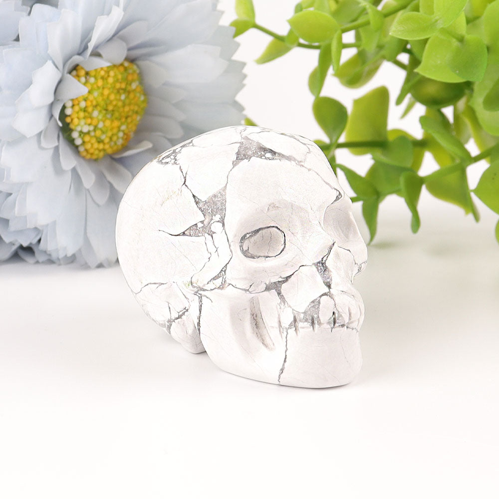 2" Howlite Skull Crystal Carvings