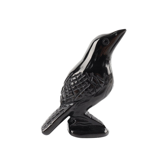 Black Obsidian Crystal Carving Crow Free Form