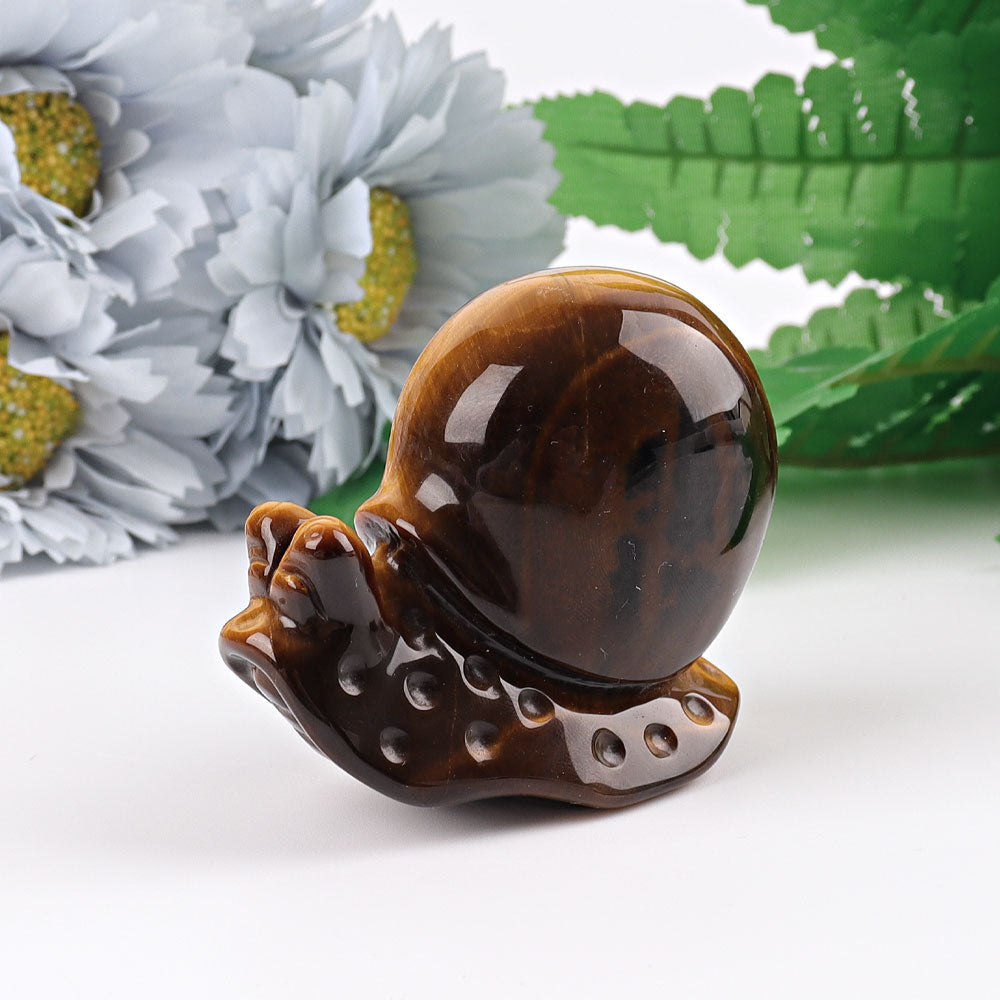 2.5" Tiger's Eye Snail Crystal Carvings