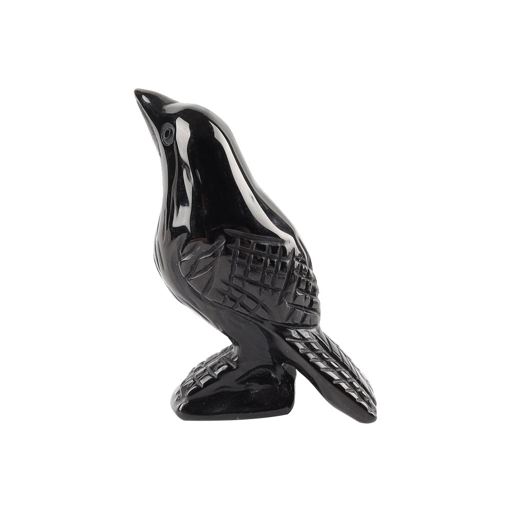 Black Obsidian Crystal Carving Crow Free Form