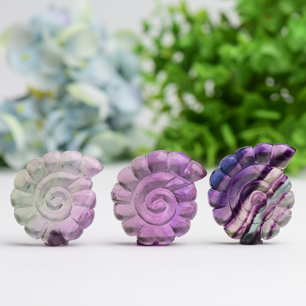 2.0" Fluorite Shell Crystal Carving