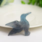 1.5" Fluorite Hummingbird Crystal Carving Bulk Wholesale