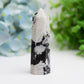 2.5"-4.5" Black Moon Stone Crystal Point Bulk Wholesale