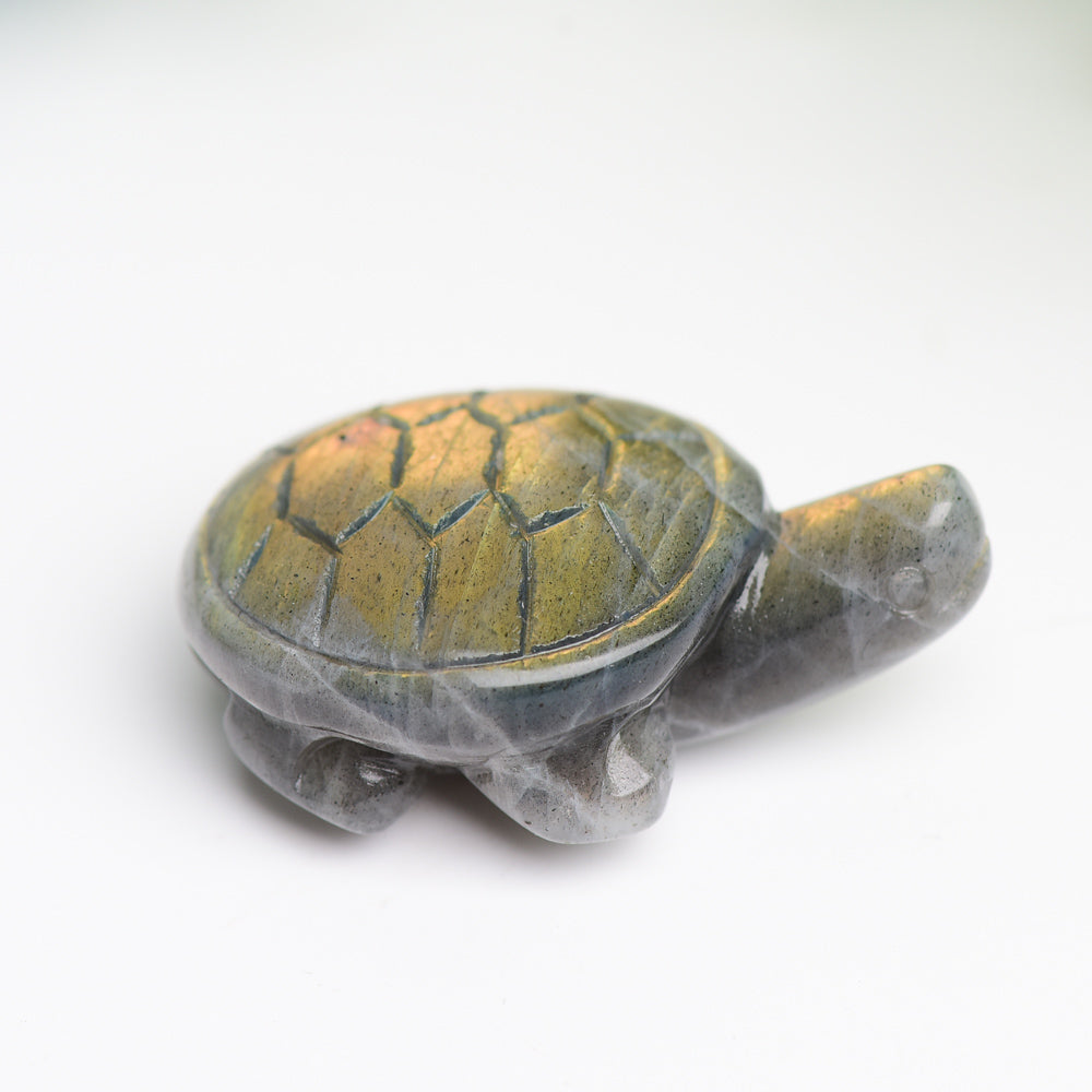 1.6" Labradorite Turtle Animal Crystal Carving