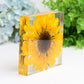 4.6" Square Resin with Sun Flower Free Form for Home Decor Bulk Wholesale