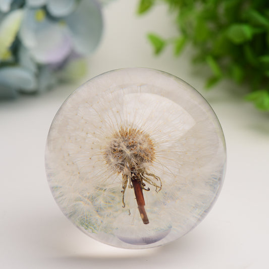 2.6" Resin Sphere with Dandelion Inside Bulk Wholesale