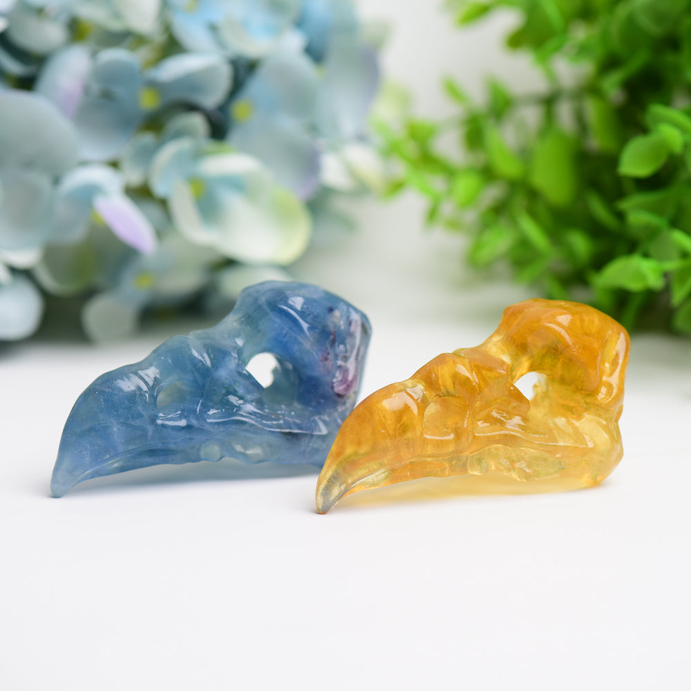 3.0" Fluorite Raven Skull Crystal Carving Bulk Wholesale