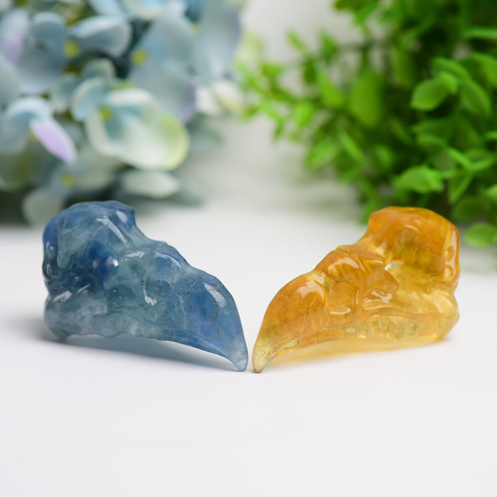 3.0" Fluorite Raven Skull Crystal Carving Bulk Wholesale