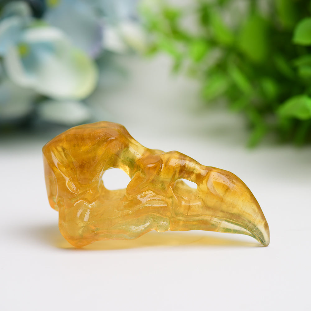 3.0" Fluorite Raven Skull Crystal Carving Bulk Wholesale