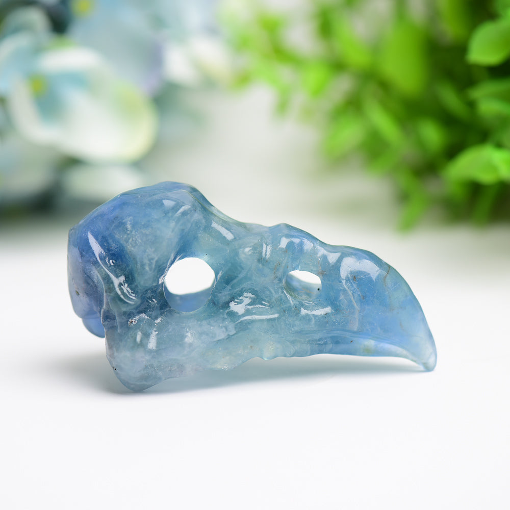 3.0" Fluorite Raven Skull Crystal Carving Bulk Wholesale