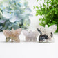 2.0"-2.5" Clear Quartz Cluster Butterfly Crystal Carving Bulk Wholesale