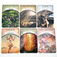 Earth Matic Tarot Card Bulk Wholesale