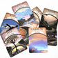 Earth Matic Tarot Card Bulk Wholesale